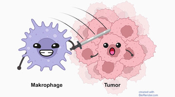 Yt-Preistraeger-2023-Schmieder